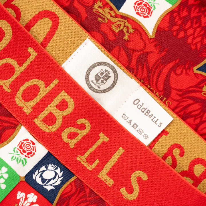 OddBalls Official British & Irish Lions Australia Brief Men