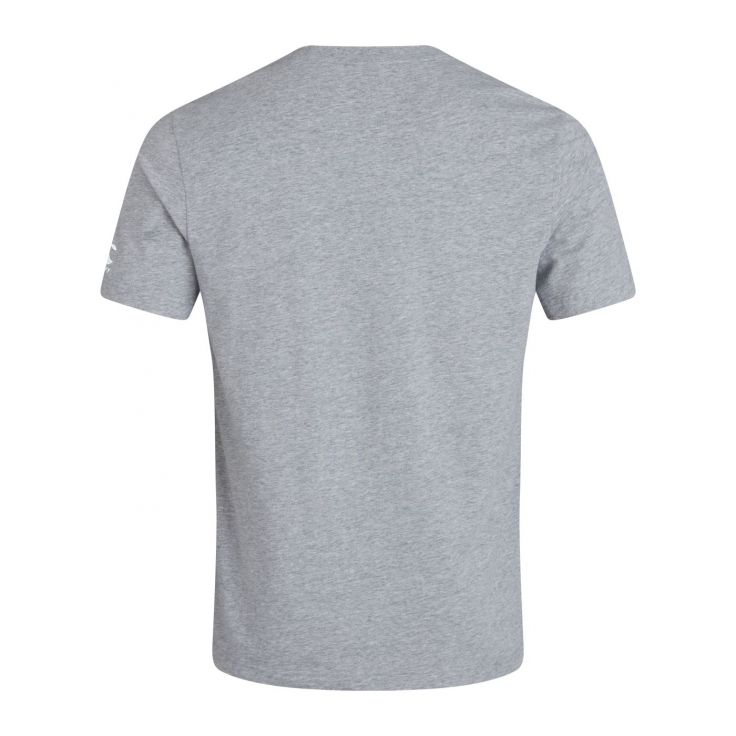 Canterbury Ireland T-Shirt Men Grey