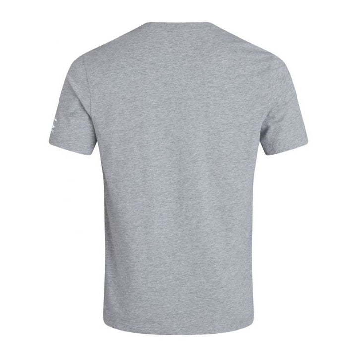 Canterbury Ireland T-Shirt Men Grey