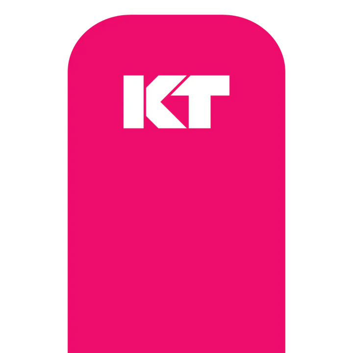 KT Tape Original Pre-Cut (5 x 25 cm) – 20 Strips – 5 Metres