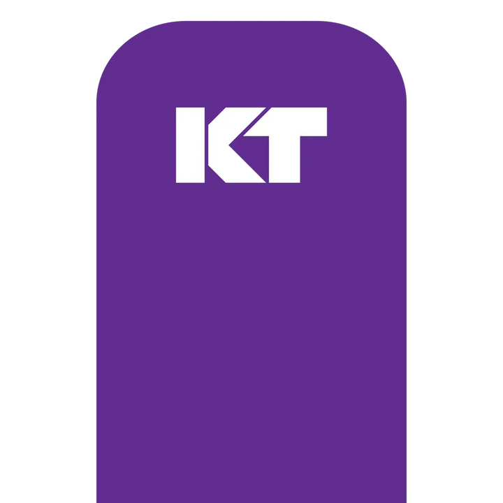KT Tape Original Pre-Cut (5 x 25 cm) – 20 Strips – 5 Metres