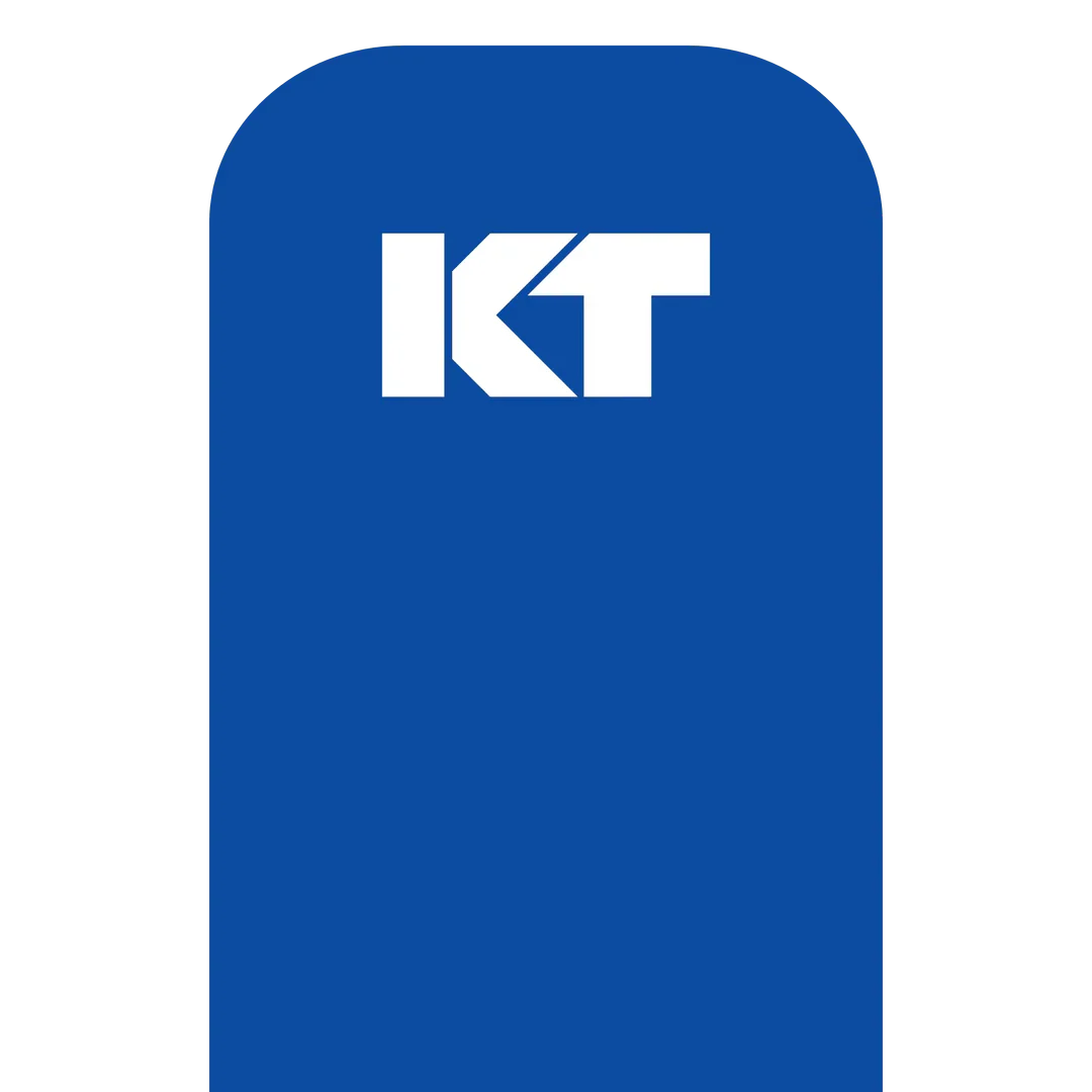 KT Tape Original Pre-Cut (5 x 25 cm) – 20 Strips – 5 Metres