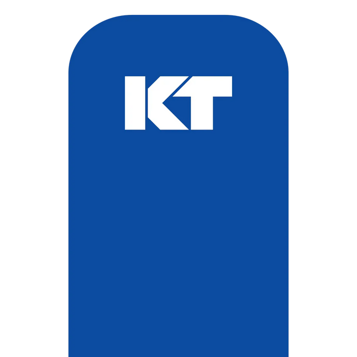 KT Tape Original Pre-Cut (5 x 25 cm) – 20 Strips – 5 Metres