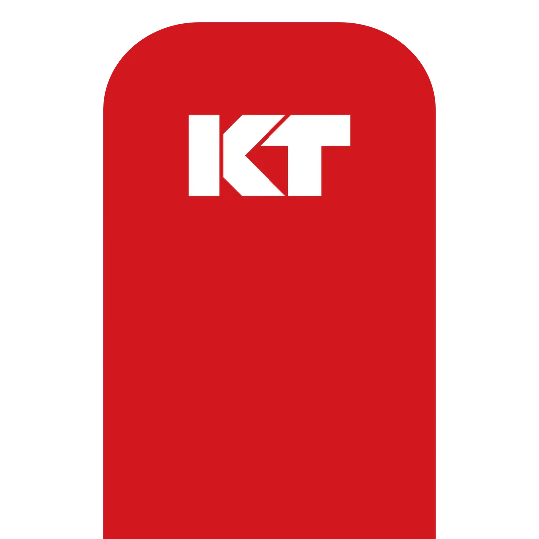KT Tape Original Pre-Cut (5 x 25 cm) – 20 Strips – 5 Metres